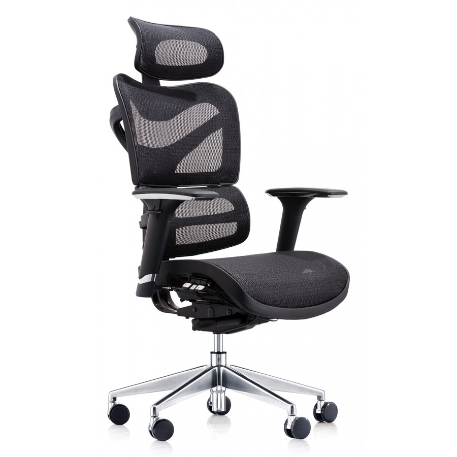 Delta 24 Hour Ergonomic Posture Mesh Office Chair